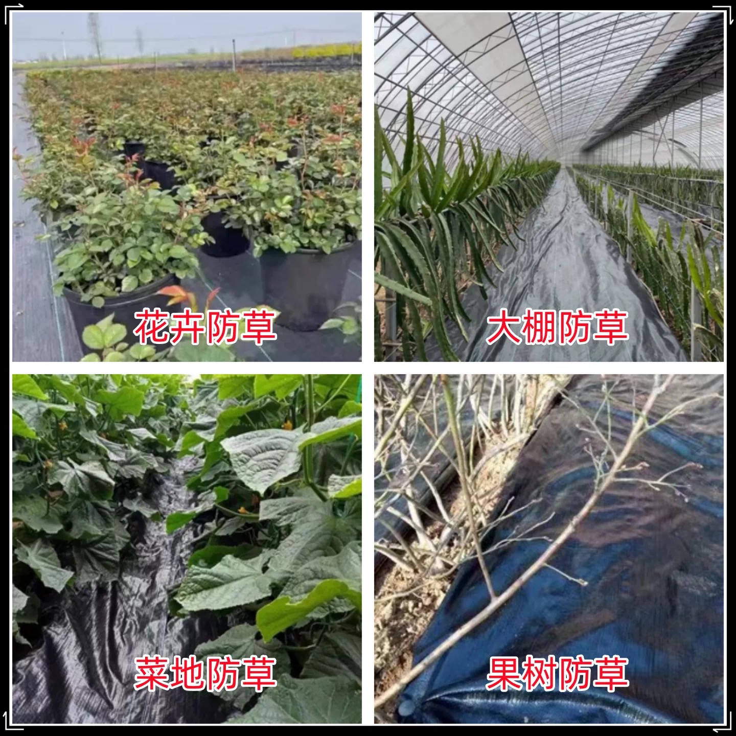 烟台市塑料薄膜防草布 - 价格